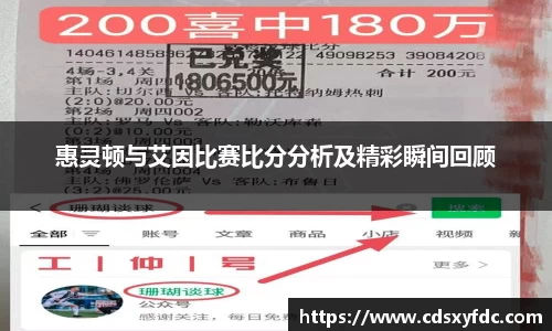 惠灵顿与艾因比赛比分分析及精彩瞬间回顾
