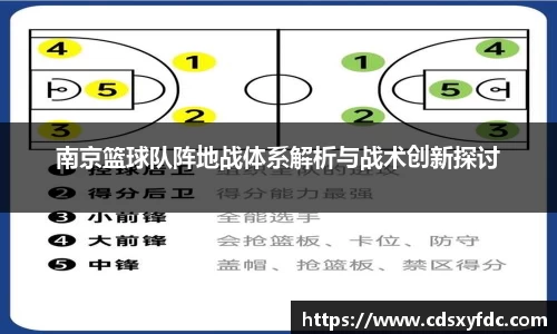 南京篮球队阵地战体系解析与战术创新探讨